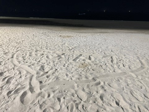 <공간과 장소 (Space and Place)> 이 푸 투안 2 sea